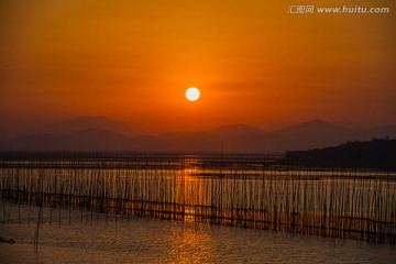 升金湖风光