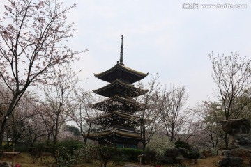 樱花园风景