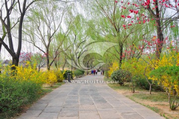 公园道路