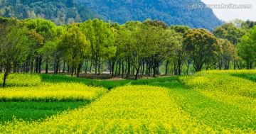 田园风光