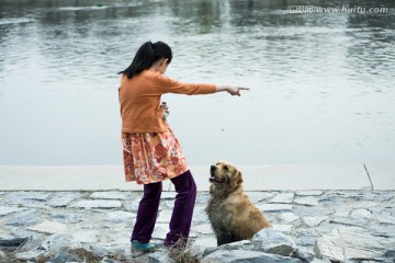 女孩与狗