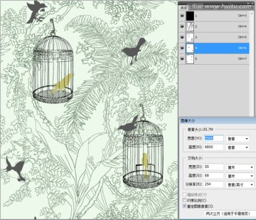 線描花鳥