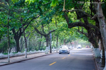 八大关景区街景