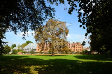 英国伦敦都市风光风景