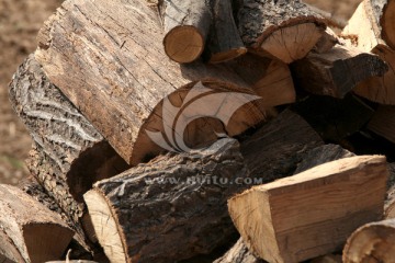 木材 木头