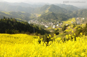 安徽歙县石潭油菜花