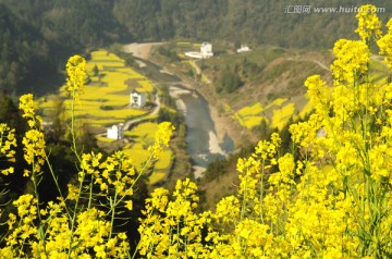 安徽歙县石潭油菜花