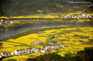 安徽歙县石潭油菜花