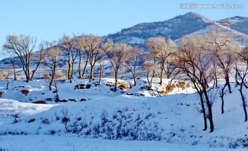 黄土高原