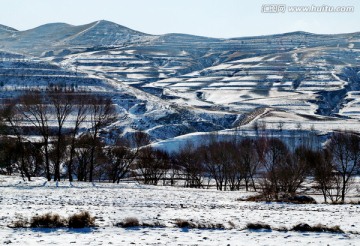 黄土高原风光