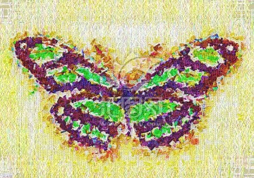 蝴蝶 装饰画 抽象