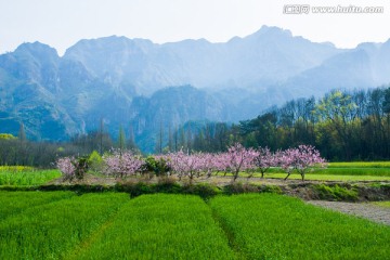 乡村风光