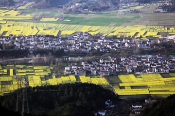 金色小山村