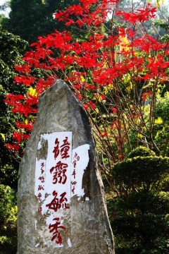 雕刻艺术 钟灵毓秀 石头