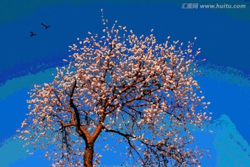 桃花油畫
