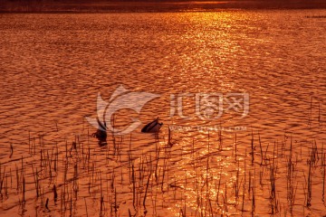 夕阳下的水面