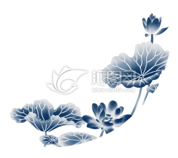 藍(lán)色荷花