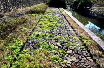 闽浙古官道