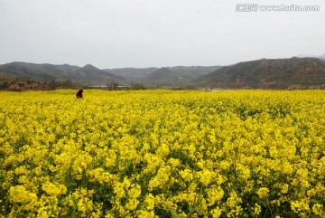 田园春色