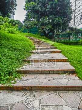 深圳大学 校园小路 台阶