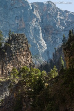 陡峭山峰松林图