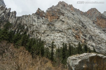 扎尕那山峰峡谷松林