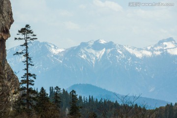 青松雪山远景