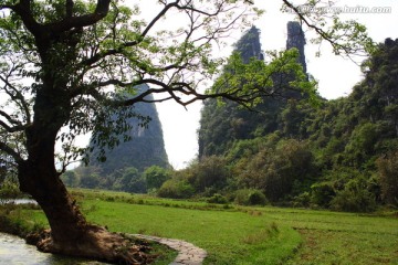 峰林