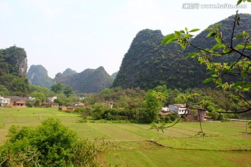 田园春天