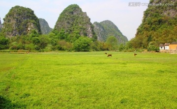 峰林春天