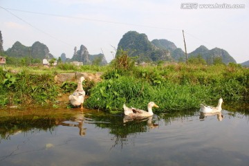 峰林田园