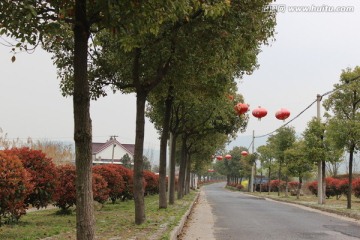 道路景色