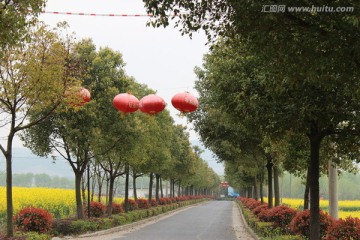 道路景色