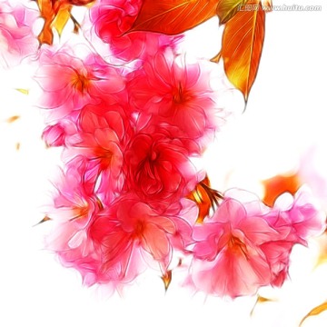 裝飾畫 花朵素材