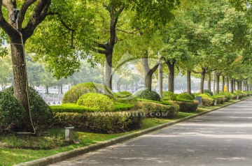 城市道路