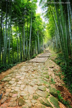 竹子 台阶