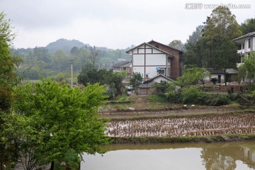 新农村建设