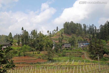 乡村小景 乡间田野