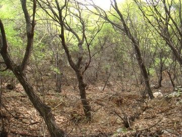 山间小路