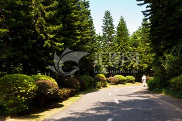 深圳园博园 林荫道