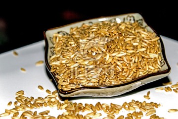 燕麦 小麦