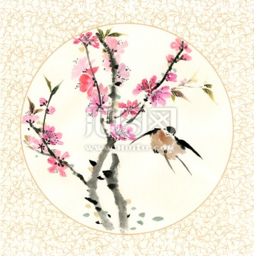 桃花小鳥 桃花燕子