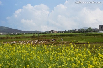 田园风光