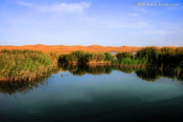 腾格里沙漠绿洲 湿地