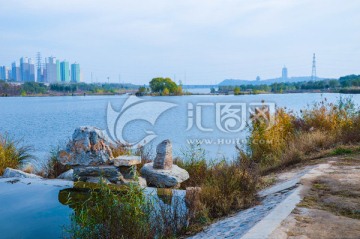 池塘风景