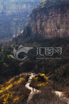 山路 小径 小路 山花 迎春花