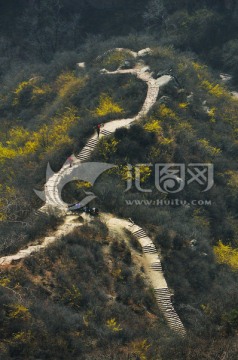 山路 小径 小路 山花 迎春花