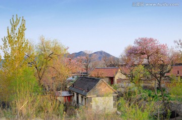 小山村