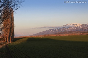 田野