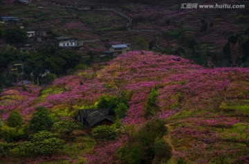 桃花山